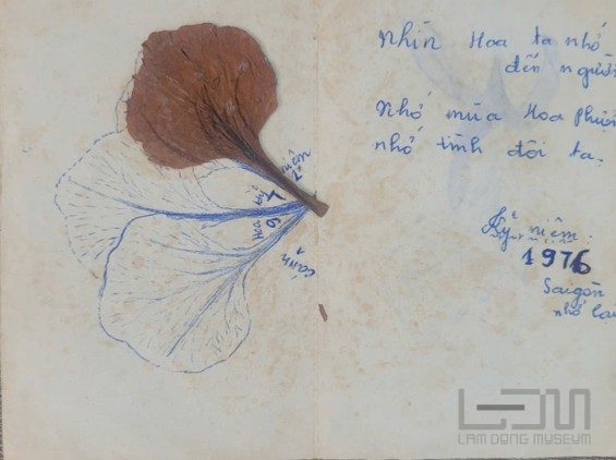 Xúc động những trang thư liệt sĩ