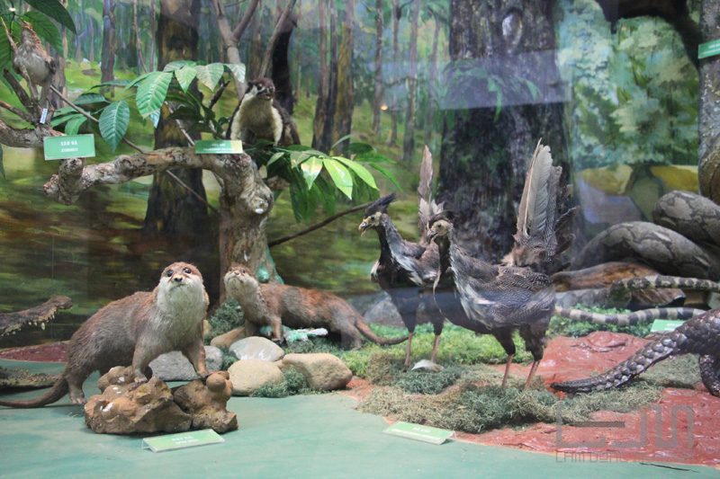 Thiên nhiên Lâm Đồng
