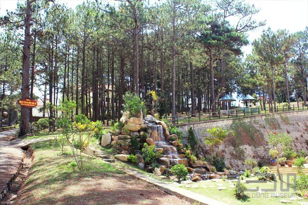 Ảnh đẹp bảo tàng