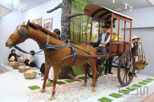Ảnh đẹp bảo tàng