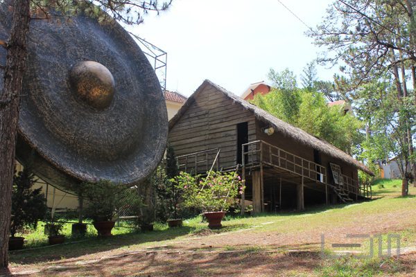 Ảnh đẹp bảo tàng
