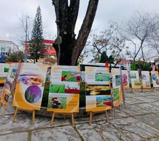 Triển lãm “Xuân về trên miền cao nguyên” chào mừng Xuân Ất Tỵ 2025