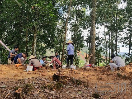 Tổ chức khai quật tại di tích Gia Viễn (Cát Tiên, Lâm Đồng)