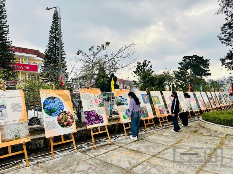 Triển lãm “Sắc Xuân Đà Lạt” chào mừng Xuân Bính Ngọ năm 2026