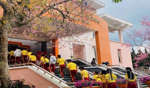 Bảo tàng - không gian học tập trực quan về lịch sử, văn hóa